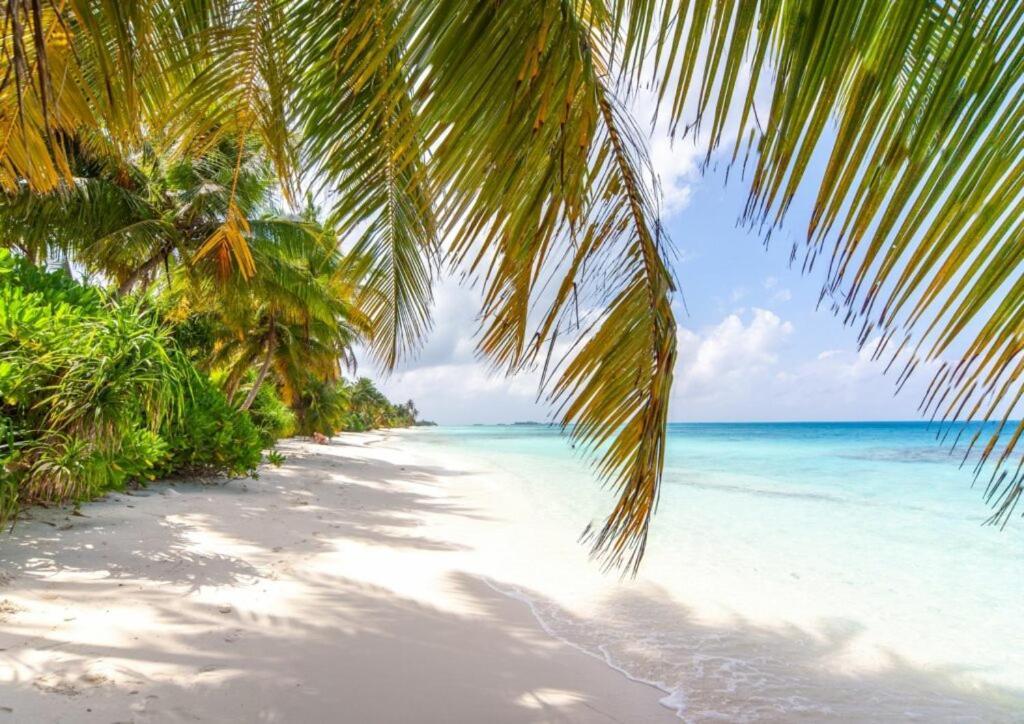 Unwind Dhigurah Hotel Dhigurah  Luaran gambar