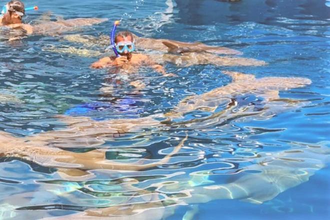 Unwind Dhigurah Hotel Dhigurah  Luaran gambar