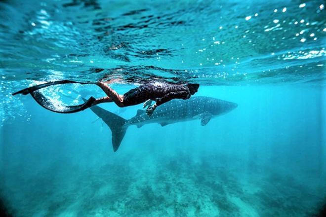 Unwind Dhigurah Hotel Dhigurah  Luaran gambar