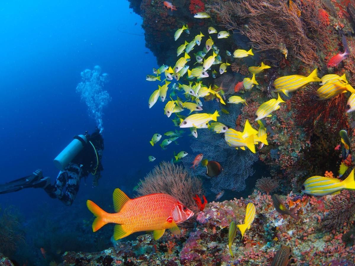 Unwind Dhigurah Hotel Dhigurah  Luaran gambar